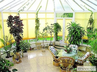 Соблюдение температурного режима для комнатных растений