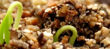 Вермикулит для комнатных растений