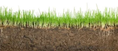 Определение характеристик почвы