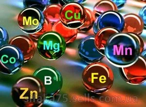 Для чего нужны микроэлементы?