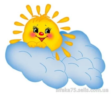 Световой режим комнатных растений, основные правила