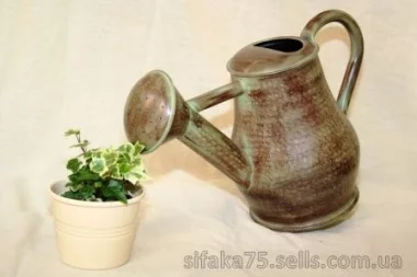 Полив комнатных растений, правила соблюдения режима полива