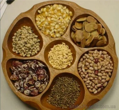 Подготовка семян к посеву