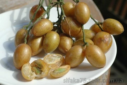 Вампии, Wampee fruit, Clausena lansium