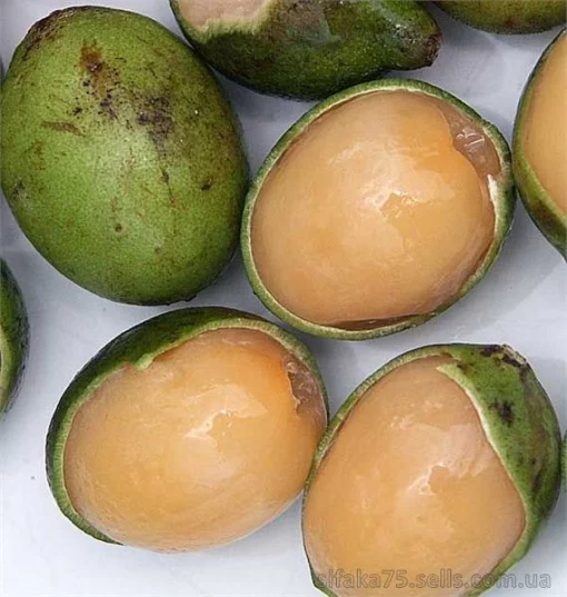 Мамончило, Лайм испанский, Mamoncillo Fruit, Melicoccus bijugatus